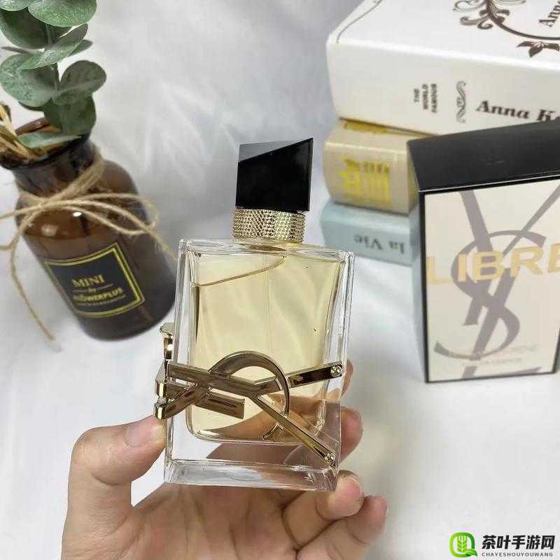 ysl 千人千色 ae86v9-探索美妆色彩的无限可能之旅