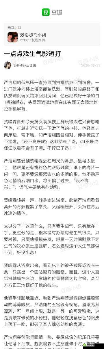 翔霖阔腿器冰块：关于它们的奇妙组合与独特魅力探讨