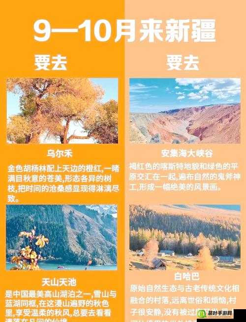 就去吻九月在线：一场浪漫而神秘的邂逅之旅