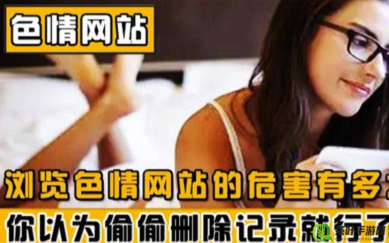 夜里 18 款禁用 b 站网站：成年人的深夜秘密