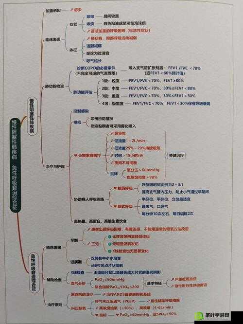 欧美人与性口牲恔配视 1：探索特殊视角