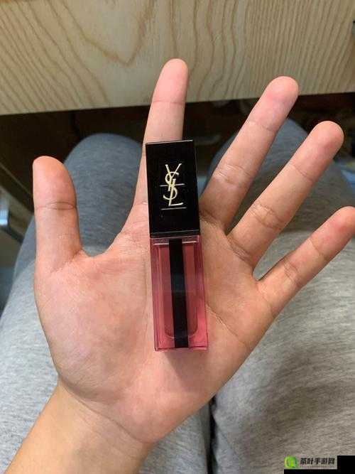 YSL 千人千色 8434- 魅力无法挡