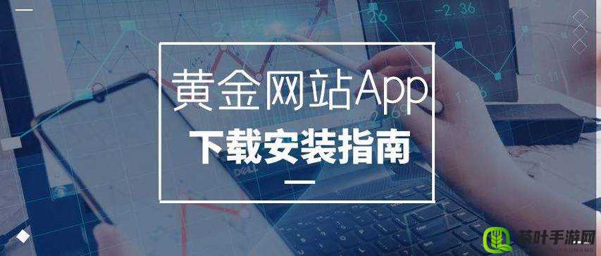 黄金网站 APP 视频播放画质选择：畅享高清视觉盛宴