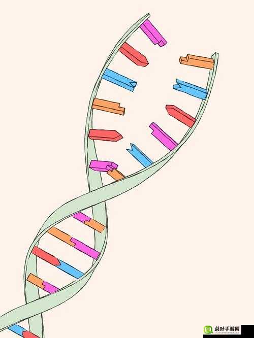 母亲和儿子的 DNA 一样吗：揭秘遗传奥秘