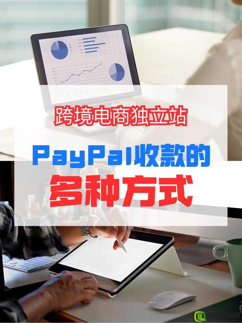 paypal 未满十八岁怎么开：相关探讨