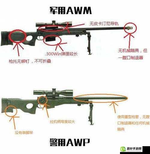 日本 csgo 大姐姐 AWP 价格