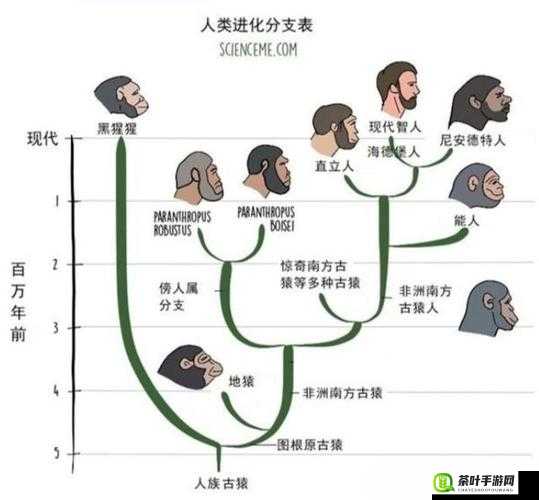 得到超级肉禽系统的紫岭红山有什么特别之处：探秘