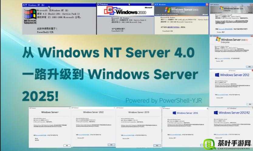 日本 Windows-Server：技术与应用探秘