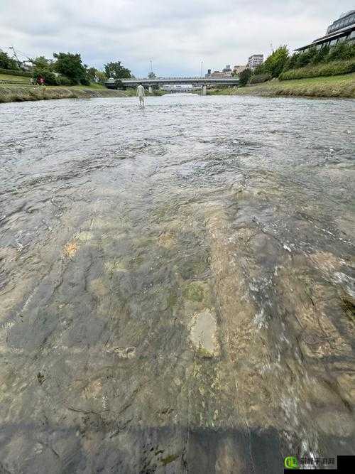 两峰夹小溪地湿又无泥诗意解析：探索其中韵味