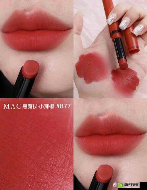 MAC 小辣椒 877 正品推荐：品质之选