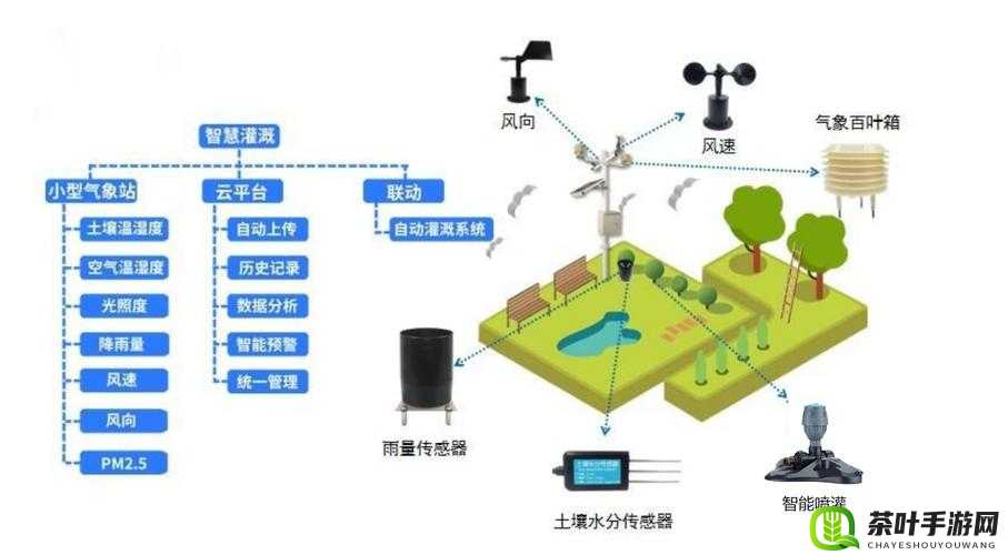 自动灌溉系统 BY 应照离：智能节水新方案