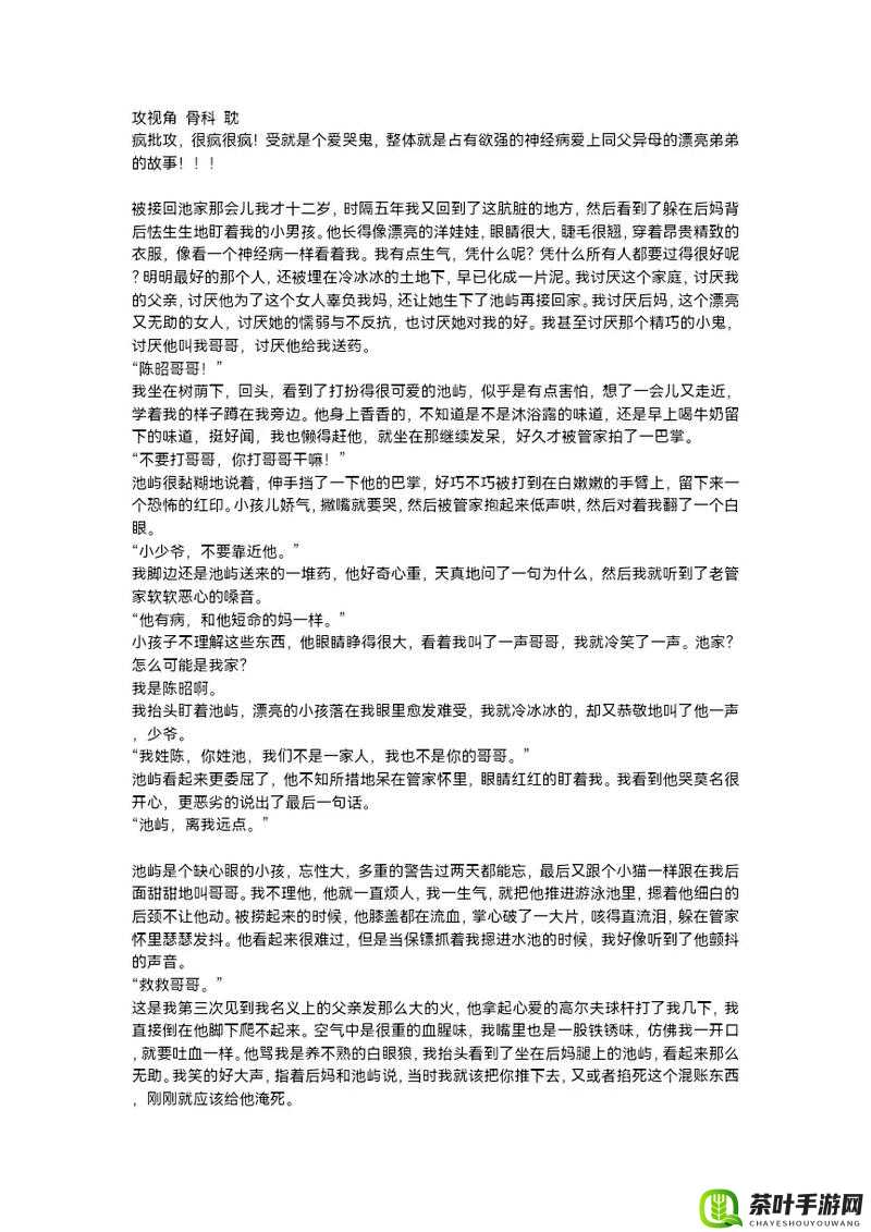 双男主：巴掌与眼泪的纠葛