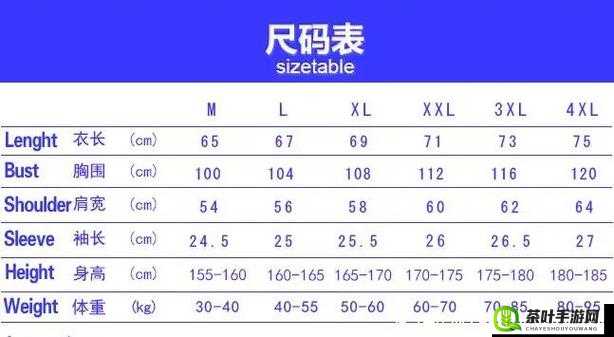 日本 L 码与中国码区别解析