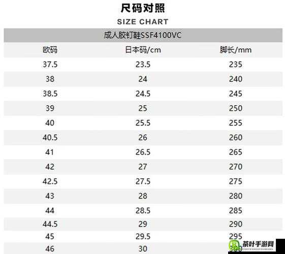 日本尺码解析详细解读