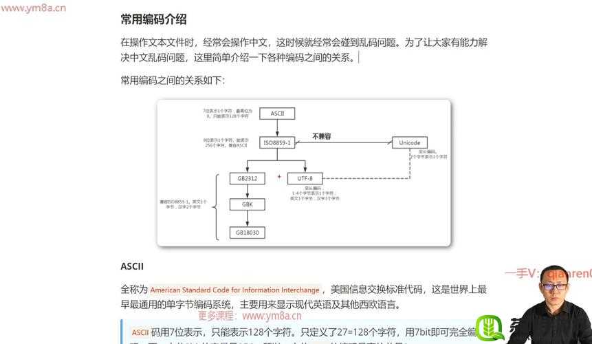 日文编码系统与乱码关系解析：原理与解决方案