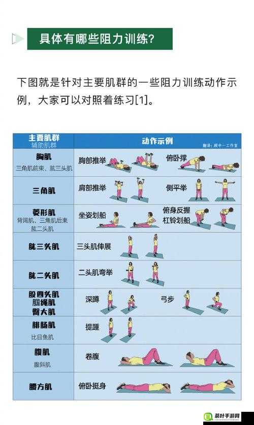 完整性功能锻炼最好的方法：全方位提升性能力