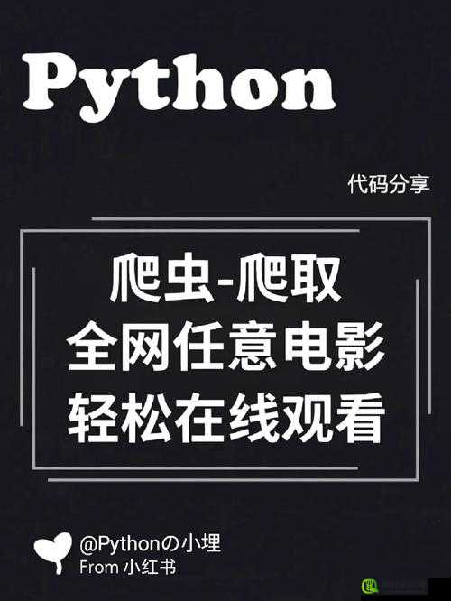 小电影的网站PYTHON 爬虫：技术解析与应用