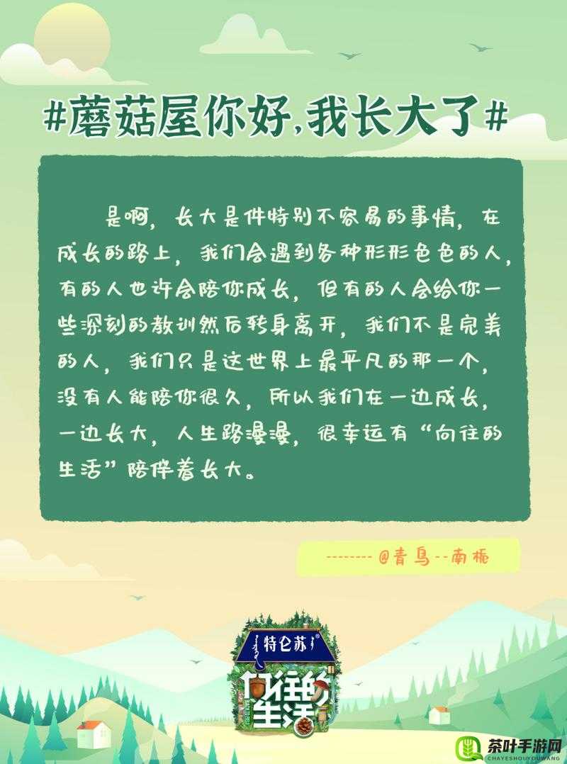 爷爷的大蘑菇：陪伴我成长的美味