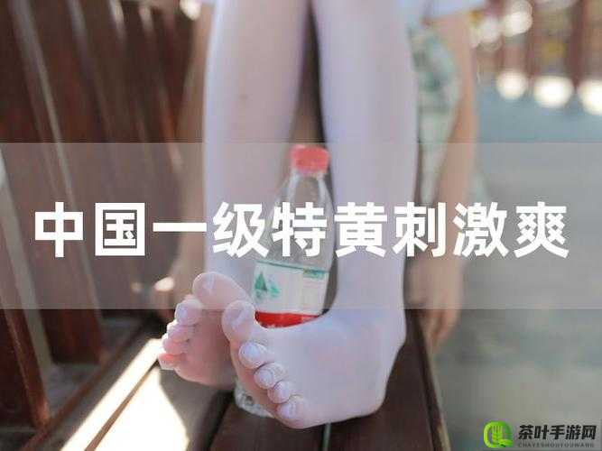 又爽又黄免费长视频多人调教：极致刺激体验