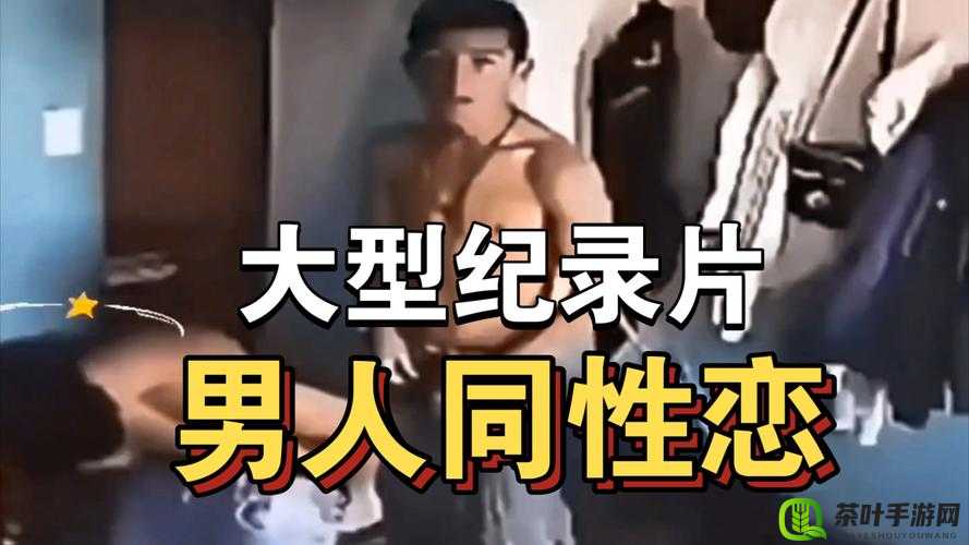 国产男男 GAY 片：探索同性之爱