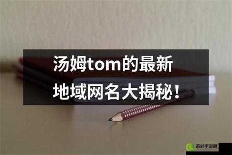 汤姆 tom 最新地域网：探索未知的世界