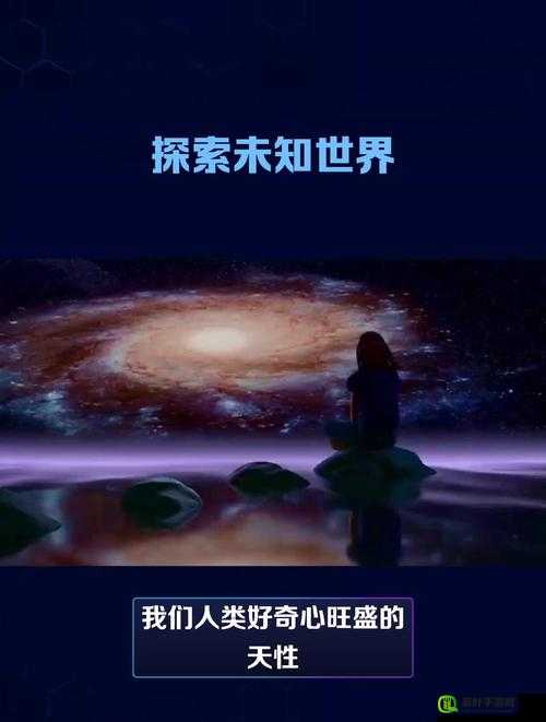 人一禽一乱一交一视一频：探索未知的世界