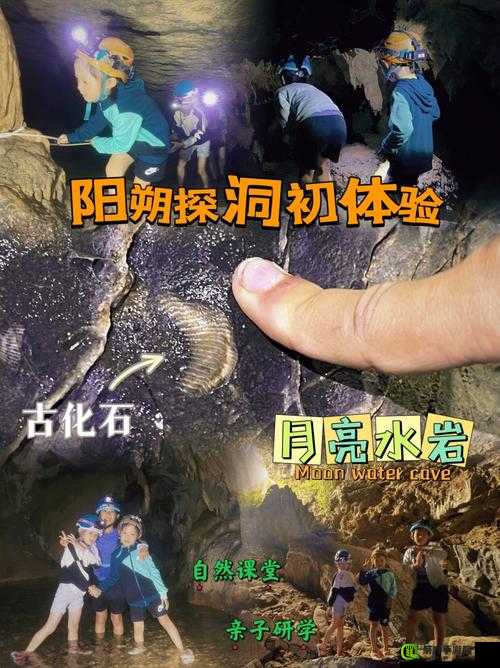 舌头探洞水好多的应对策略：避免受伤