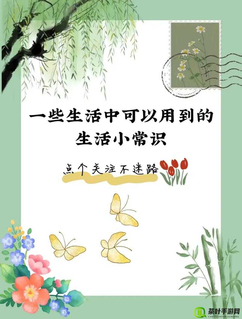 视频聊天：连接你我，分享生活