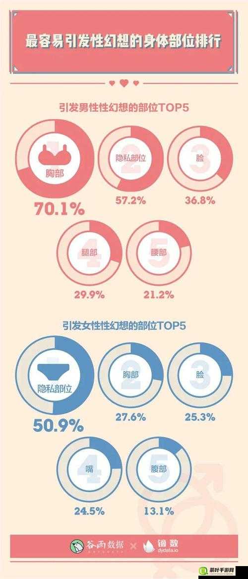 免费 B 站在线观看人数找技术解析方法