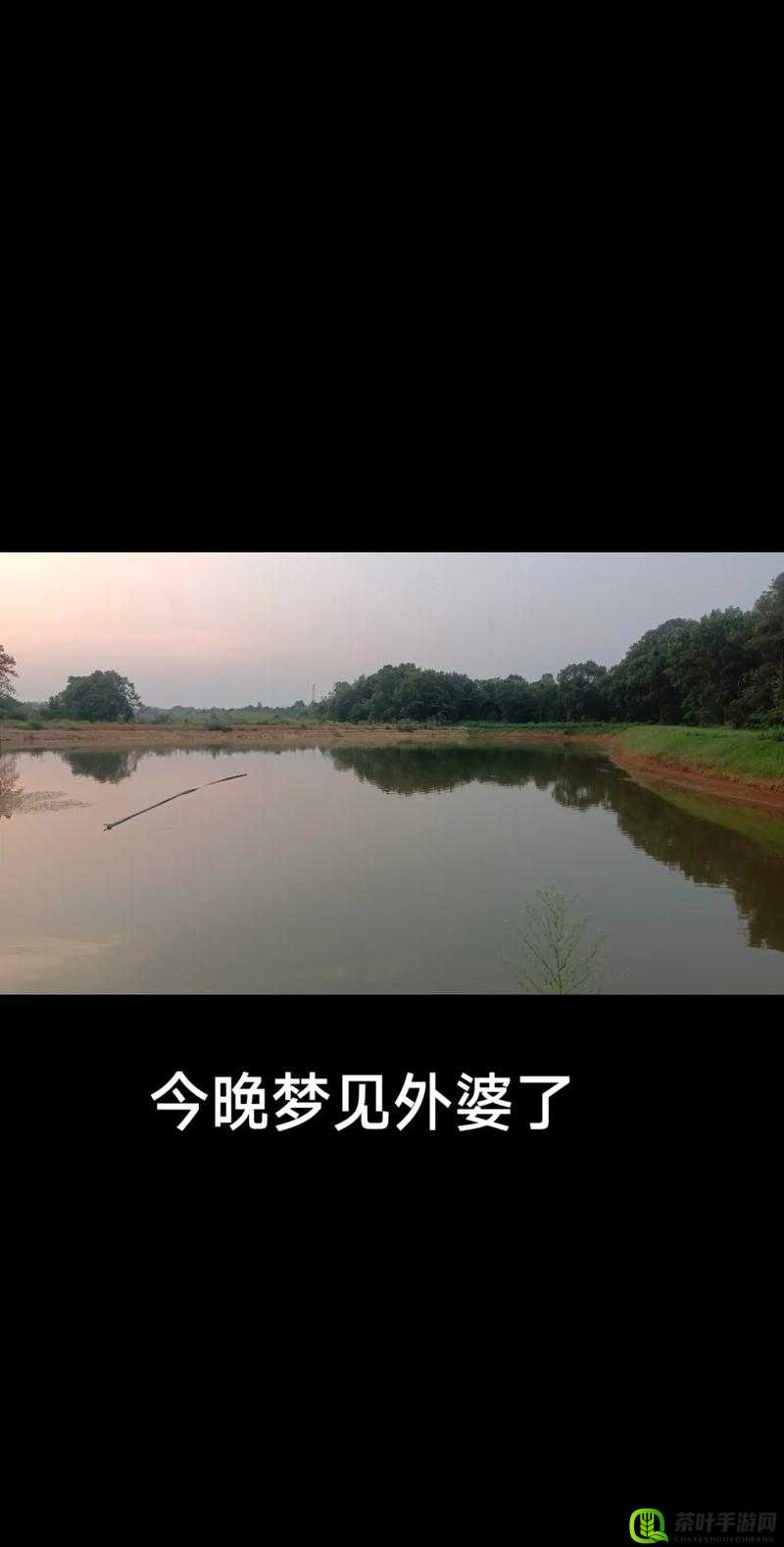 我妈妈在后车座姥姥家：难忘的场景