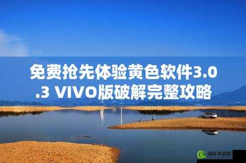 3.0.3 免费 vivo 版破解大全：畅享游戏特权