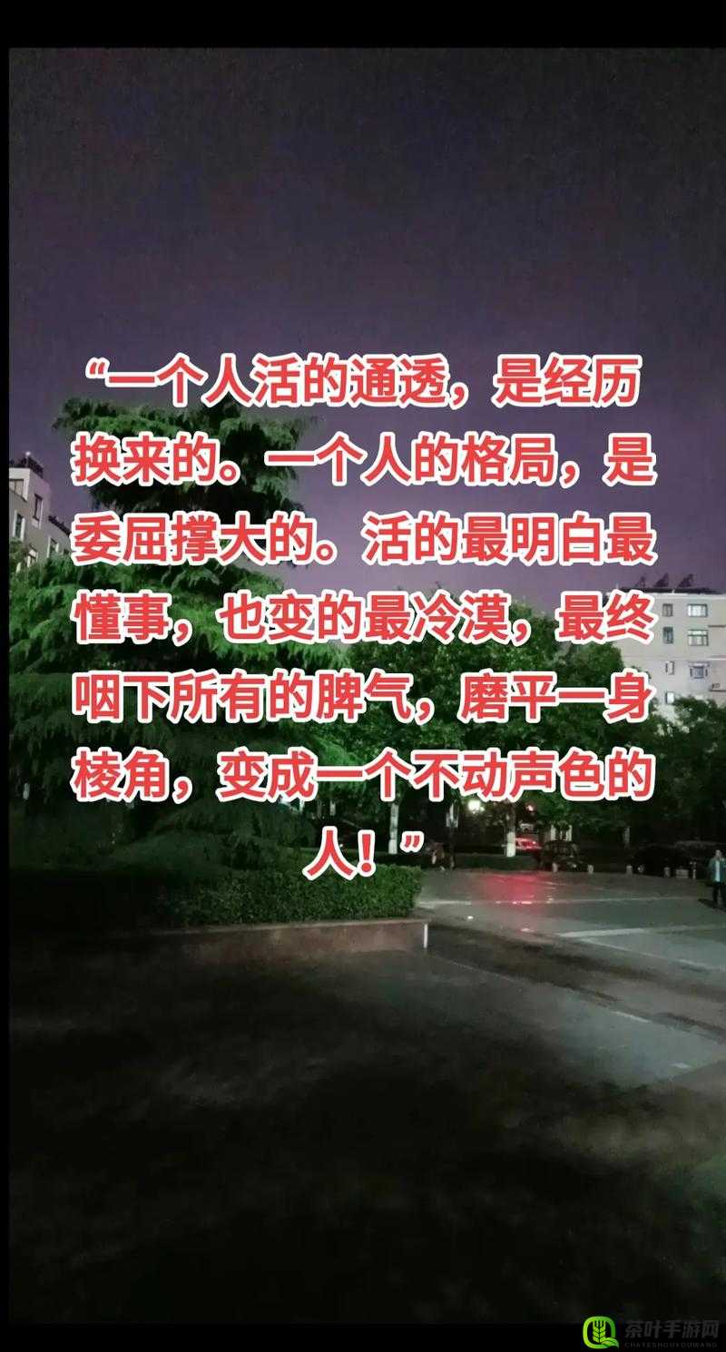 填得很满是什么感觉：探究内心的真实体验