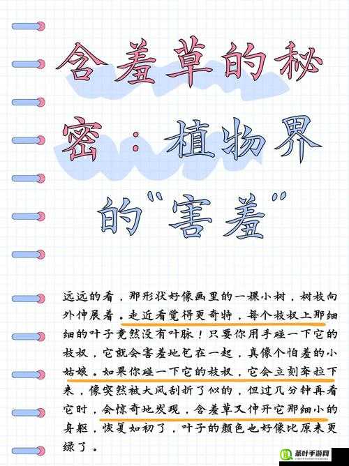 含羞草一路二路三路：探秘植物的奥秘