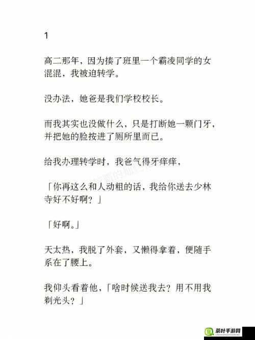 班级的公共小 0 的所属类型小说：独特的校园故事