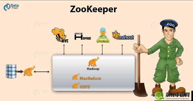 ZoomZookeeper 简介