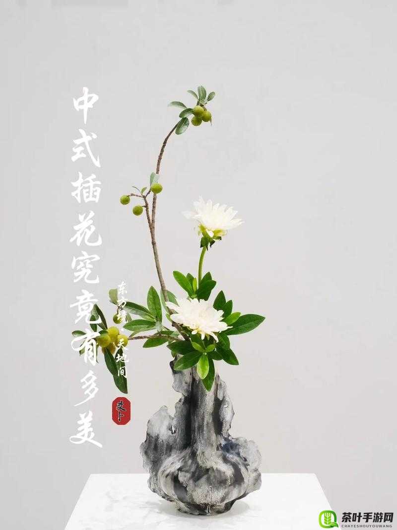 插花弄玉的视频内容